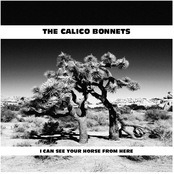 I Can See Your Horse From Here