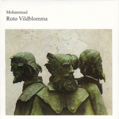 Roto Vildblomma