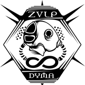 zvlp dyma