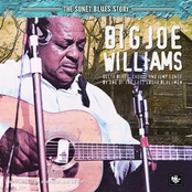 Jefferson And Franklin Blues by Big Joe Williams