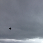 These Frozen Moments