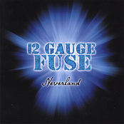 Why Would I Lie? by 12 Gauge Fuse