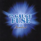 Free by 12 Gauge Fuse