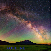 aquiline