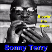 My Baby Likes To Shuffle by Sonny Terry