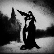 In a Shadow's Embrace