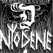 True Appalachian Black Noise