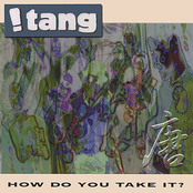 Shine by !tang