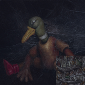 Hushing the Sparkling Well