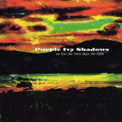 No Less the Trees Than the Stars