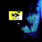 little fish ( free downloads )