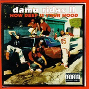 Young Active Brazy by Damu Ridas