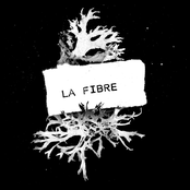 la fibre