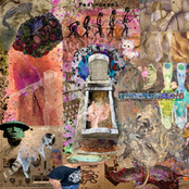 Laryngeal Bacterium Foamage up the Spitwad Crux of the Post-Nasular Region