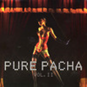Pure Pacha Vol.2