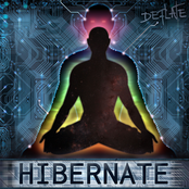 Hibernate