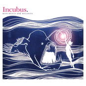 Neither Of Us Can See by Incubus