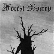 Forest Eyes by Forest Poetry