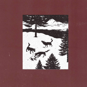 maquinário / Cattéte