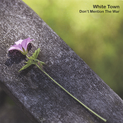 Make The World Go Away by White Town