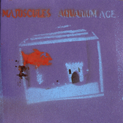 Aquarium Age