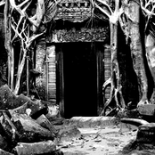 Spiritless: The Voice