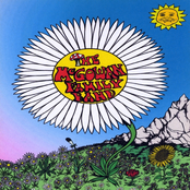 The McGowan Family Band: The McGowan Family Band