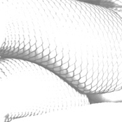 Bodystocking / Royal Tropical Institute