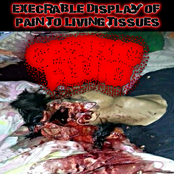 EXECRABLE DISPLAY OF PAIN TO LIVING TISSUES