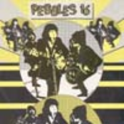 Pebbles Vol 16