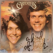 Breaking Up Is Hard To Do by Carpenters