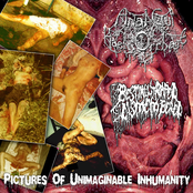 Pictures Of Unimaginable Inhumanity