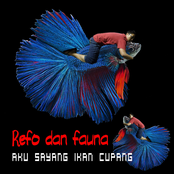 Aku Sayang Ikan Cupang