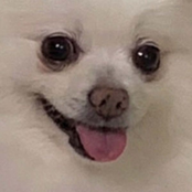 The Human Comedy - EP