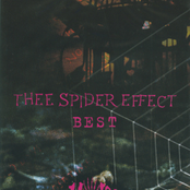 Thee Spider Effect Best