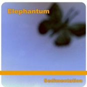 Anthem To The Fall And Awakening Of The Tiny Yellow Flower by Elephantum