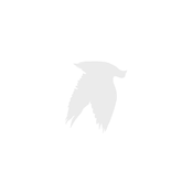 I'm Still Finding Feathers In My Hair