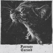 Forever Cursed