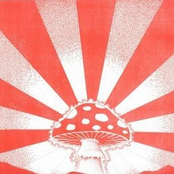 The Psychedelic Voyage