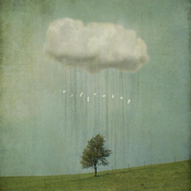 We Are Never Ever Getting Back Together - Single