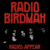 New Race by Radio Birdman
