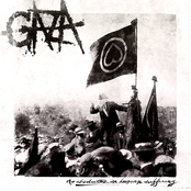 The Vipers by Gaza