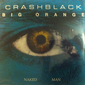 crashblack big orange