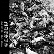 Call Of The Black Plague