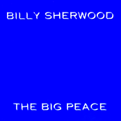 Call by Billy Sherwood