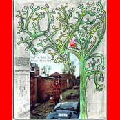 Sofie Sea's True Stories