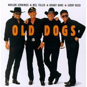 old dogs