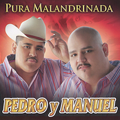 Pura Malandrinada