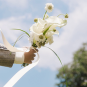 Từ 1 Sẽ Thành 2