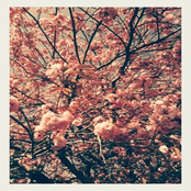 every breath i take makes me want to slice my wrists open, every breath you take makes me want to live